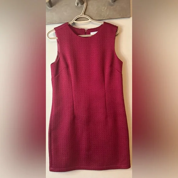 ✌️4/$20✌️ Alfred sung shift dress - Picture 1 of 10